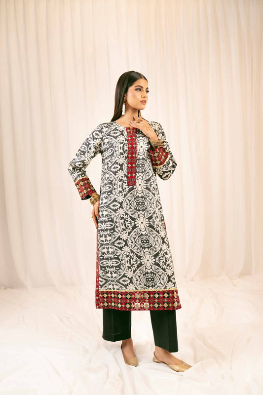 2 Piece - Printed Embroidered Suit