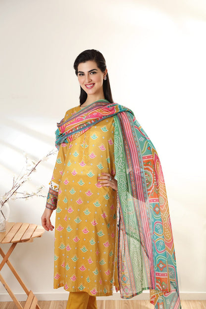 Unstitched 3 Piece - Printed Suit